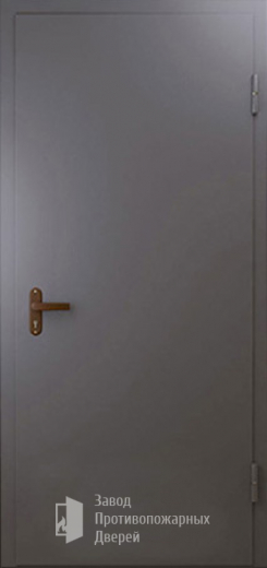 Фото двери «Техническая дверь №1 однопольная» в Краснознаменску